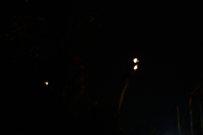 247-4777_IMG.jpg 18